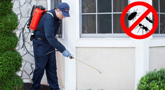 Asarlık Karınca İlaçlama böcek ilaçlama ve haşere kontrolü — ilaclama-tr.com